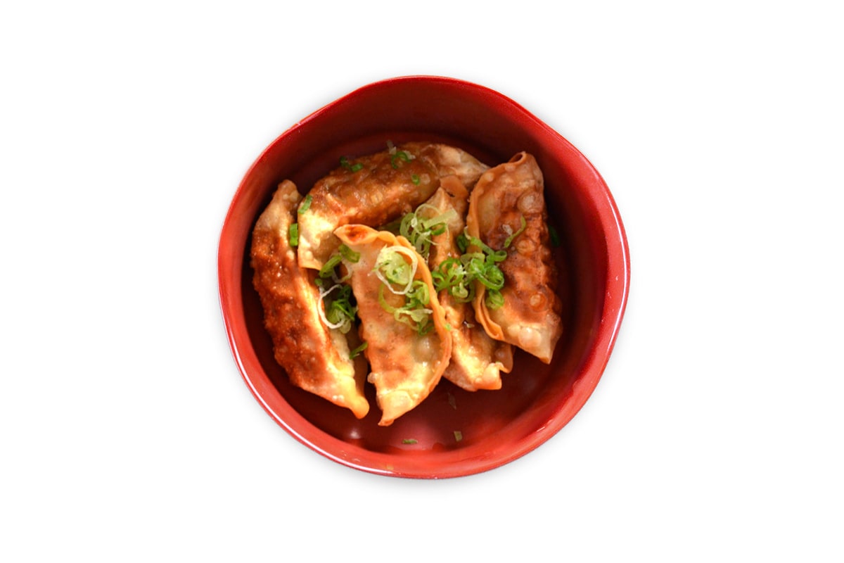 Fried Pork Dumplings