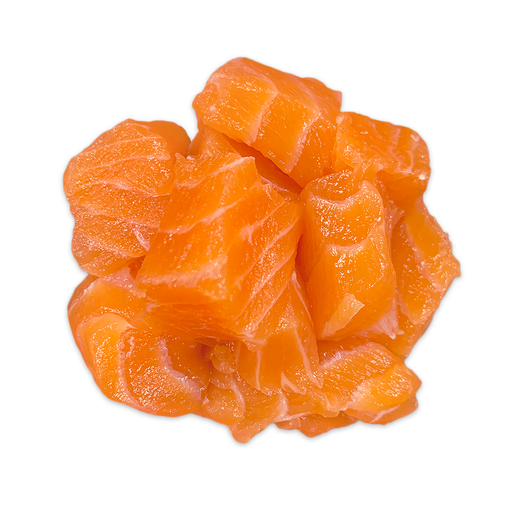 Salmon