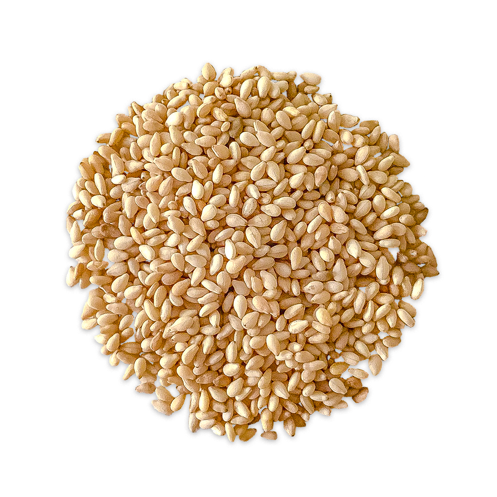 Sesame Seeds